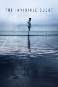 The Invisible Guest (2016) Hindi Dubbed