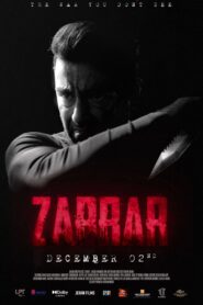 Zarrar (2022) Urdu (PreDvD)