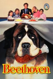 Beethoven (1992) Hindi Dubbed