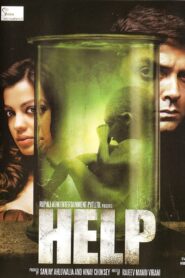 Help (2010) Hindi HD