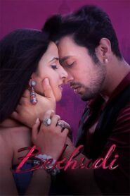 Bekhudi (2021) Hindi HD