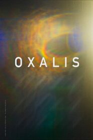 Oxalis (2018) Hindi Dubbed UltraPlay
