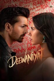 Ek Deewane Ki Deewaniyat (2025) Hindi HD