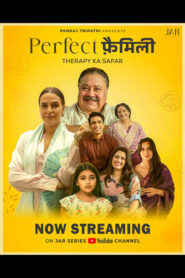 Perfect Family (2025) Hindi Season 1 Complete