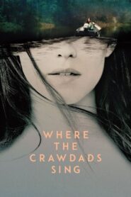 Where the Crawdads Sing (2022) HIndi Dubbed